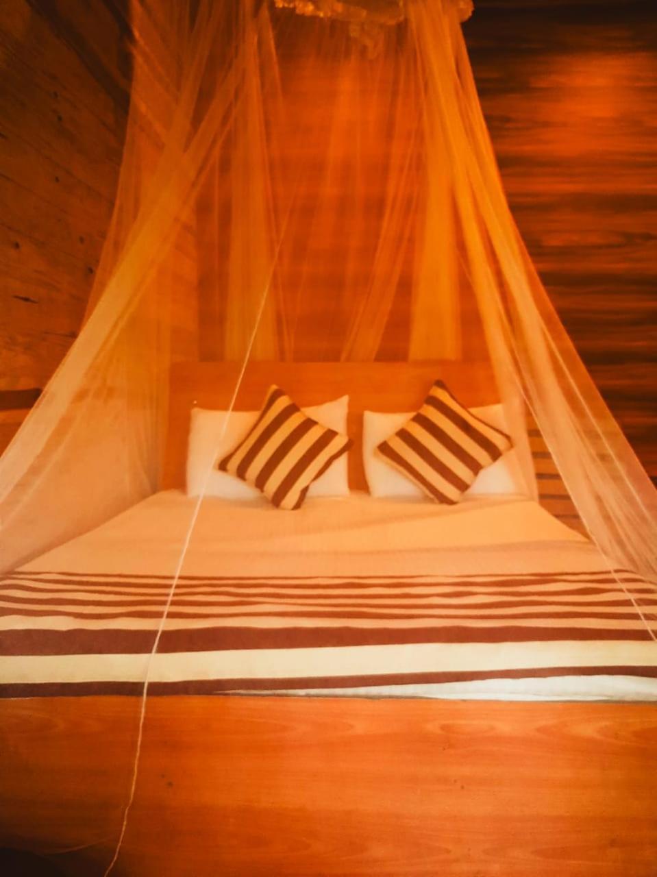 Talblick Homestay เอลลา ภายนอก รูปภาพ