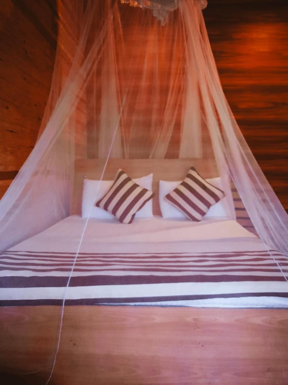 Talblick Homestay เอลลา ภายนอก รูปภาพ